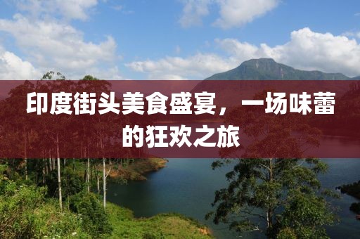印度街头美食盛宴，一场味蕾的狂欢之旅