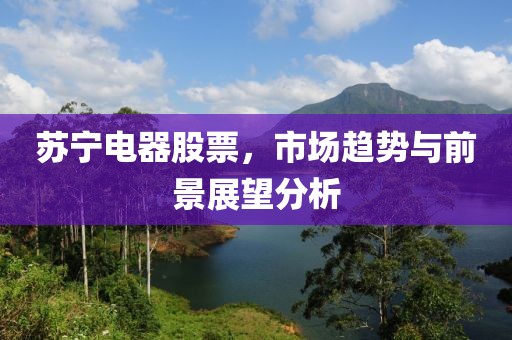 苏宁电器股票，市场趋势与前景展望分析