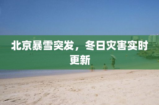 北京暴雪突发，冬日灾害实时更新