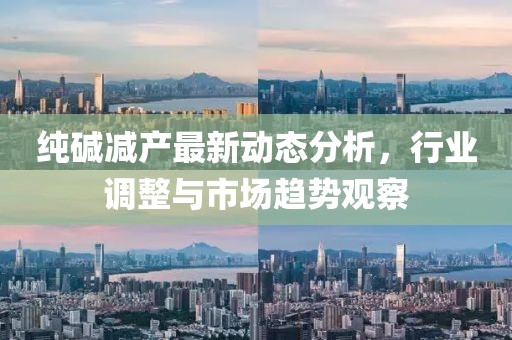 纯碱减产最新动态分析，行业调整与市场趋势观察