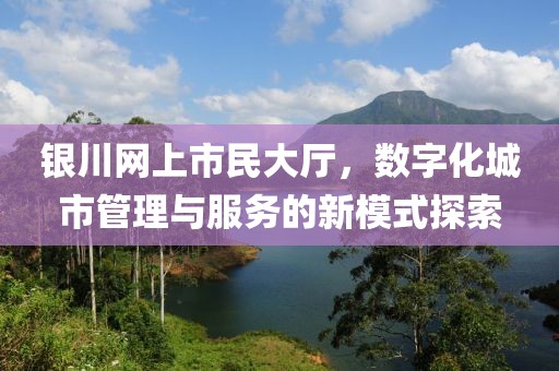 银川网上市民大厅，数字化城市管理与服务的新模式探索