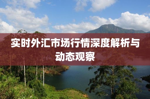 实时外汇市场行情深度解析与动态观察