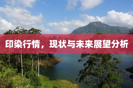 印染行情，现状与未来展望分析