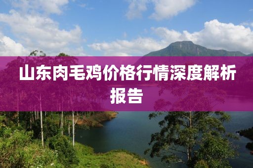 山东肉毛鸡价格行情深度解析报告