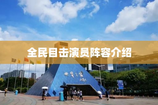 全民目击演员阵容介绍