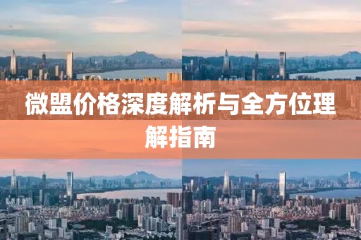 微盟价格深度解析与全方位理解指南