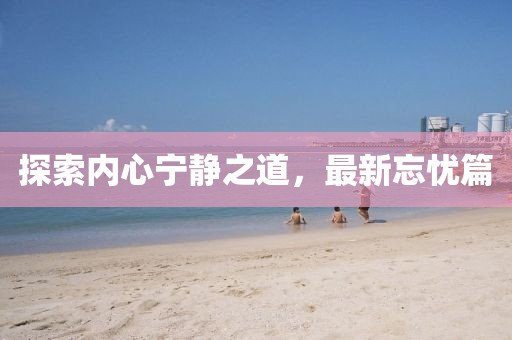 探索内心宁静之道，最新忘忧篇