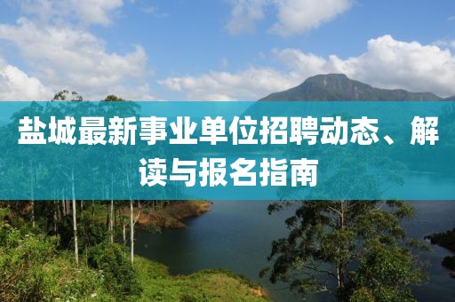 盐城最新事业单位招聘动态、解读与报名指南