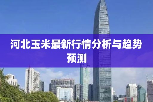 河北玉米最新行情分析与趋势预测