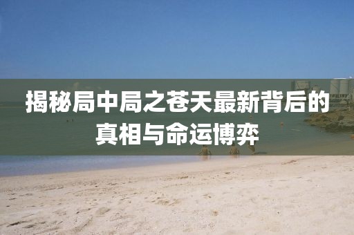 揭秘局中局之苍天最新背后的真相与命运博弈
