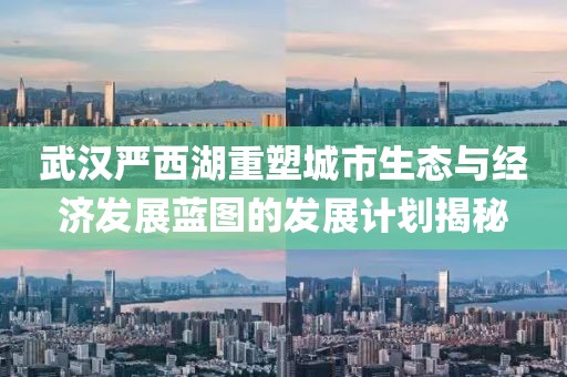 武汉严西湖重塑城市生态与经济发展蓝图的发展计划揭秘