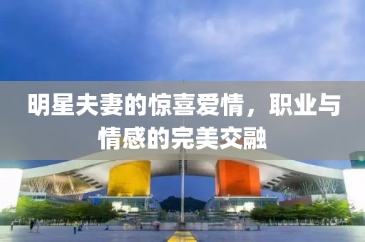 明星夫妻的惊喜爱情，职业与情感的完美交融