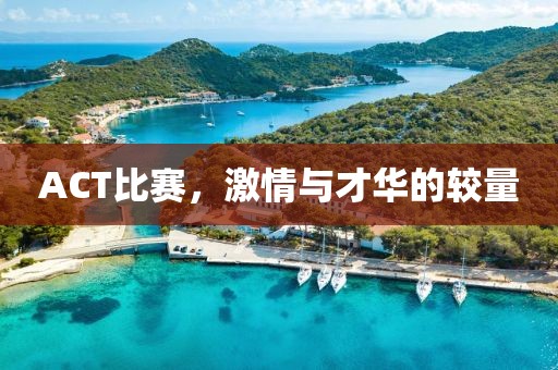 ACT比赛，激情与才华的较量