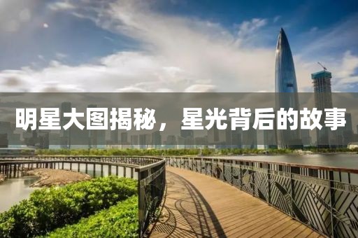 明星大图揭秘，星光背后的故事