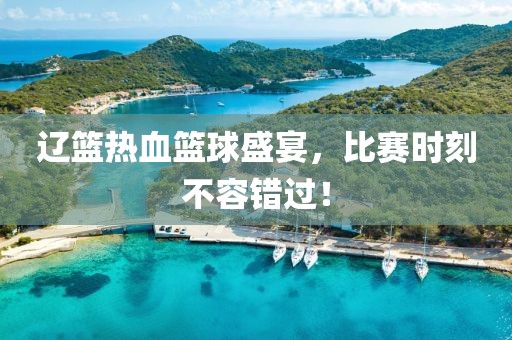 辽篮热血篮球盛宴，比赛时刻不容错过！