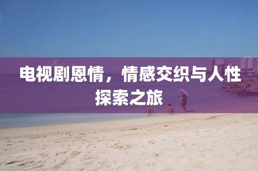 电视剧恩情，情感交织与人性探索之旅