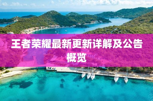 王者荣耀最新更新详解及公告概览