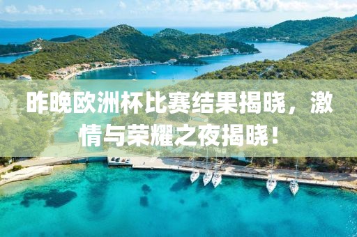 昨晚欧洲杯比赛结果揭晓，激情与荣耀之夜揭晓！
