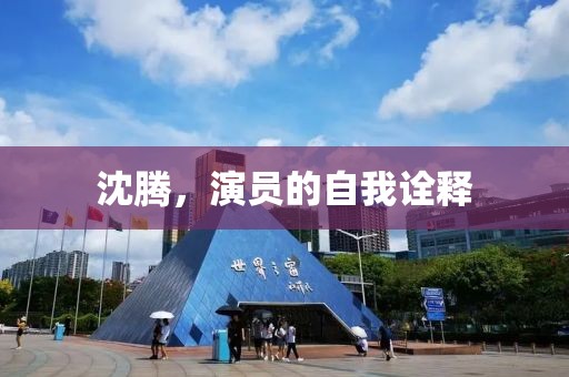 沈腾，演员的自我诠释