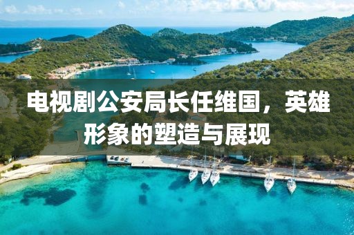 电视剧公安局长任维国，英雄形象的塑造与展现