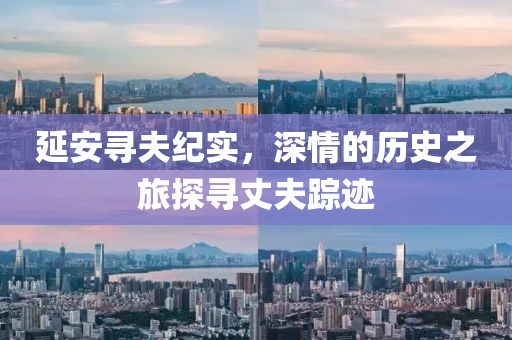 延安寻夫纪实，深情的历史之旅探寻丈夫踪迹