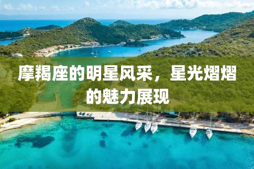 摩羯座的明星风采，星光熠熠的魅力展现