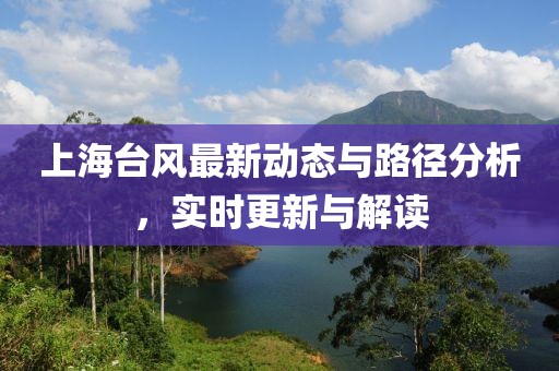 上海台风最新动态与路径分析，实时更新与解读