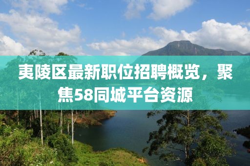 夷陵区最新职位招聘概览，聚焦58同城平台资源