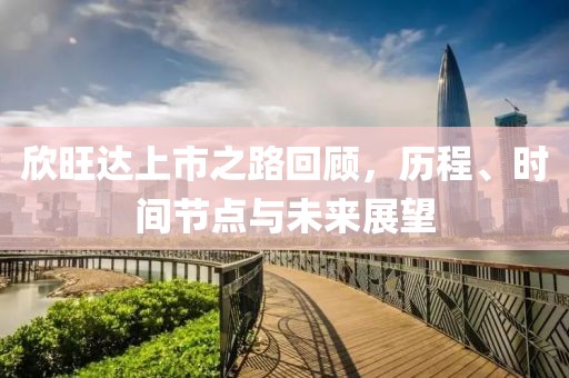 欣旺达上市之路回顾，历程、时间节点与未来展望