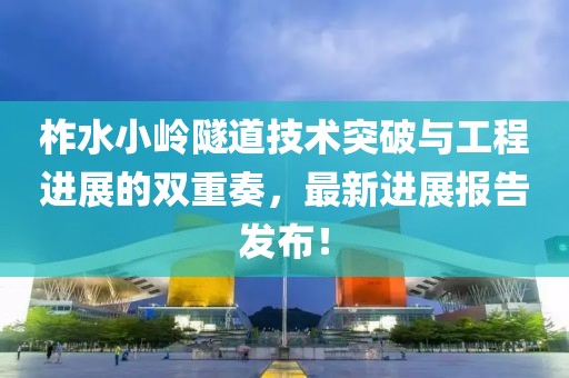 柞水小岭隧道技术突破与工程进展的双重奏，最新进展报告发布！