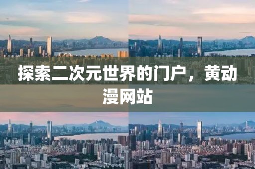探索二次元世界的门户，黄动漫网站