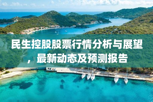 民生控股股票行情分析与展望，最新动态及预测报告