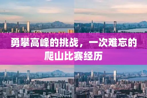 勇攀高峰的挑战，一次难忘的爬山比赛经历