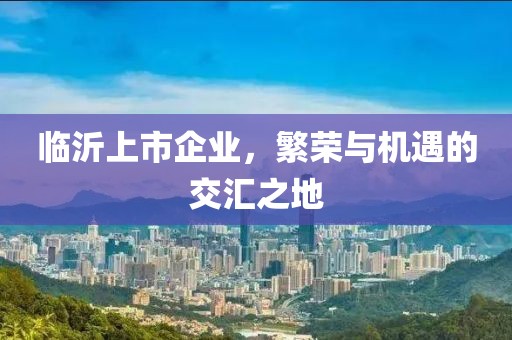 临沂上市企业，繁荣与机遇的交汇之地