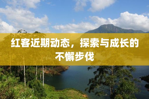 红客近期动态，探索与成长的不懈步伐