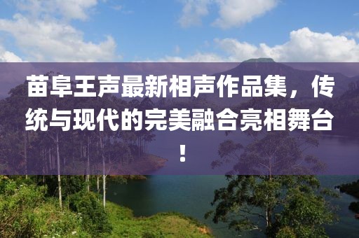 苗阜王声最新相声作品集，传统与现代的完美融合亮相舞台！
