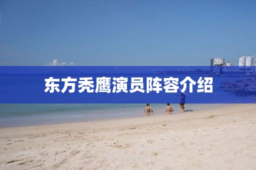 东方秃鹰演员阵容介绍