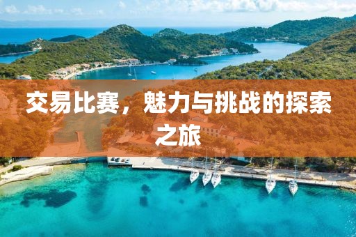 交易比赛，魅力与挑战的探索之旅