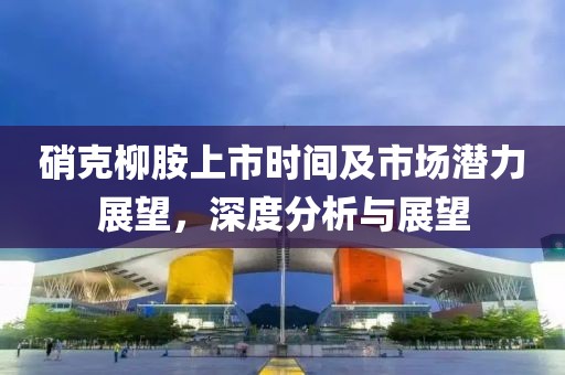 硝克柳胺上市时间及市场潜力展望，深度分析与展望