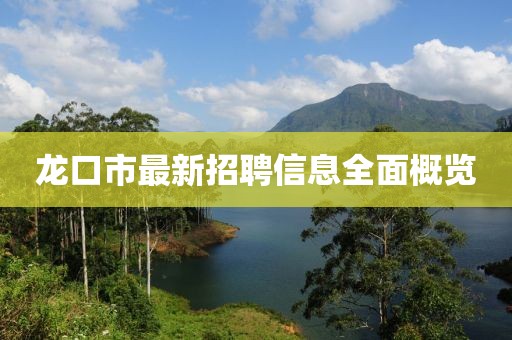 龙口市最新招聘信息全面概览