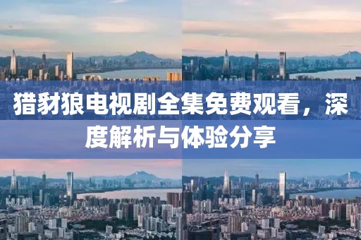 猎豺狼电视剧全集免费观看，深度解析与体验分享