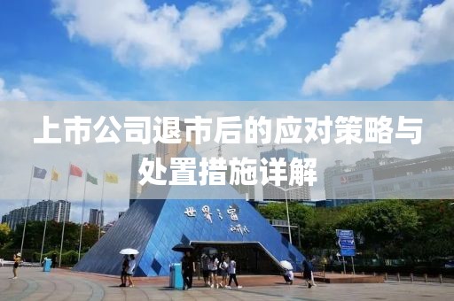 上市公司退市后的应对策略与处置措施详解