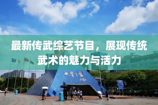 最新传武综艺节目，展现传统武术的魅力与活力