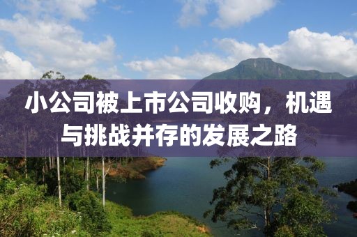 小公司被上市公司收购，机遇与挑战并存的发展之路