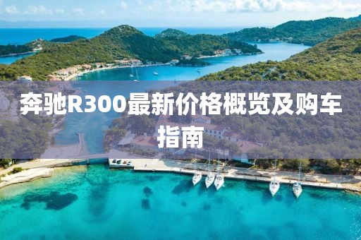 奔驰R300最新价格概览及购车指南