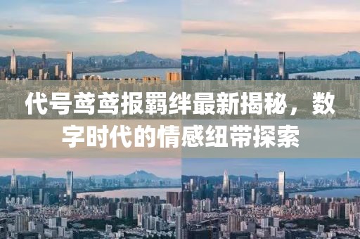 代号鸢鸢报羁绊最新揭秘，数字时代的情感纽带探索