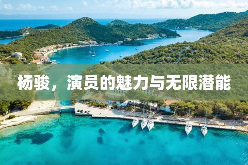 杨骏，演员的魅力与无限潜能