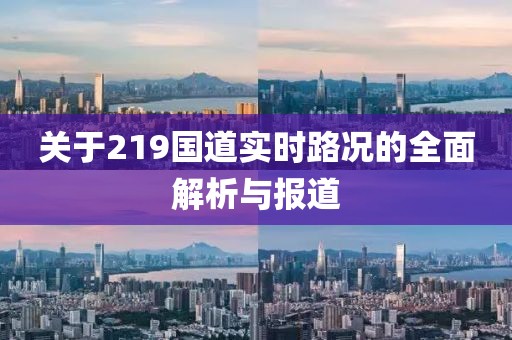 关于219国道实时路况的全面解析与报道