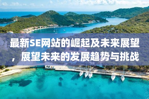 最新SE网站的崛起及未来展望，展望未来的发展趋势与挑战