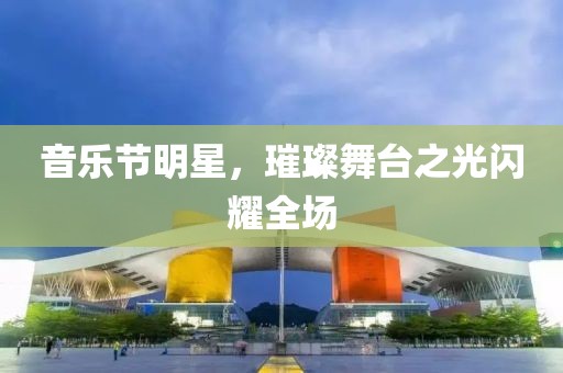 音乐节明星，璀璨舞台之光闪耀全场